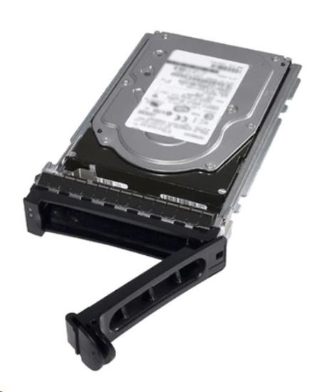 Obrázek DELL HDD 1TB Hard Drive SATA 6Gbps 7.2K 512n 3.5in Cabled Customer Kit - R250