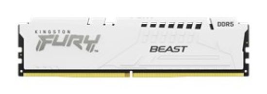 Obrázek KINGSTON DIMM DDR5 16GB 5600MT/ s CL36 FURY Beast Bílá EXPO