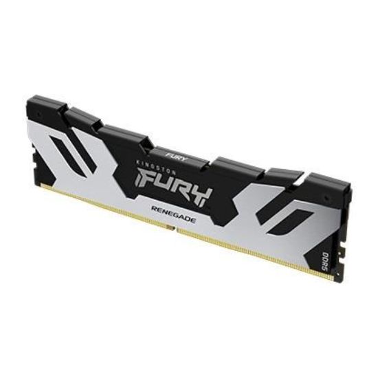 Obrázek KINGSTON DIMM DDR5 24GB 7200MT/ s CL38 FURY Renegade Silver XMP
