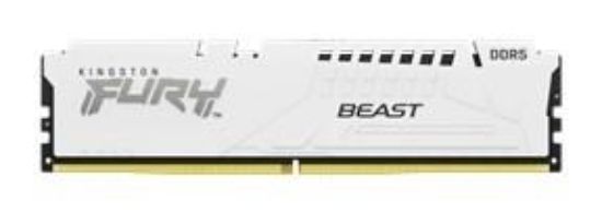 Obrázek KINGSTON DIMM DDR5 16GB 6000MT/ s CL36 FURY Beast Bílá EXPO