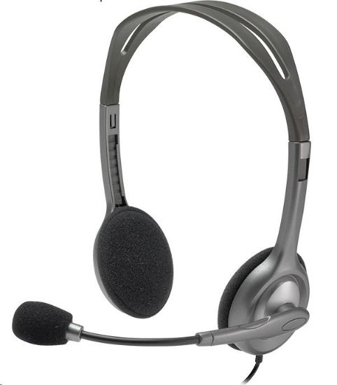 Obrázek Logitech Headset H110 Stereo