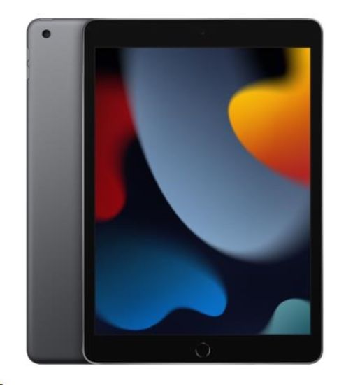 Obrázek APPLE iPad 10,2" (9. gen) (2021) Wi-Fi 256GB - Space Grey